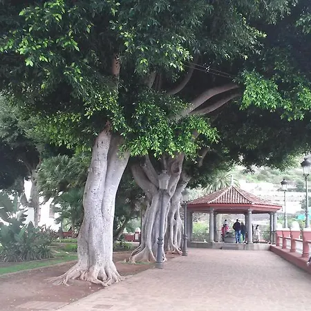 Drago San Antonio 3* Icod De Los Vinos