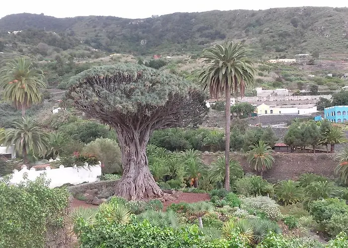 Hotel Drago San Antonio 3*