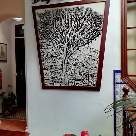 Drago San Antonio Hotel 3*