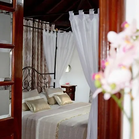 Hotel Drago San Antonio 3*