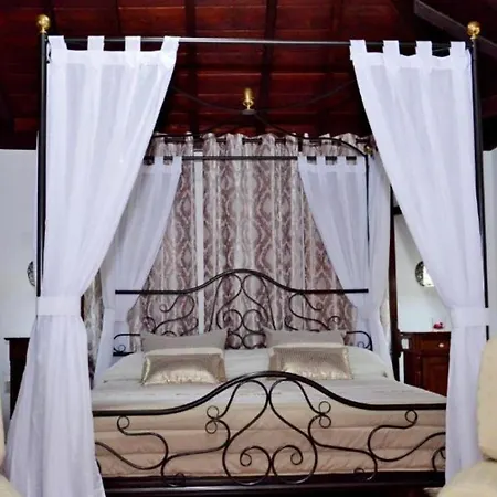 Hotel Drago San Antonio 3*