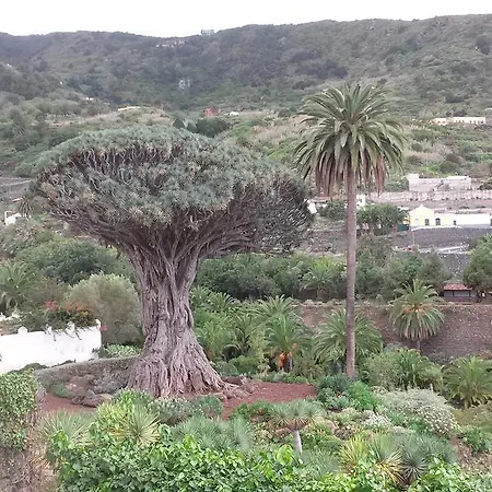 Hotel Drago San Antonio 3*