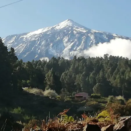 Drago San Antonio Icod De Los Vinos