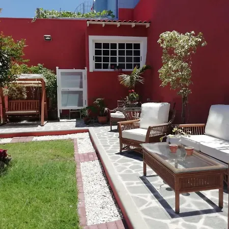 Drago San Antonio Icod De Los Vinos