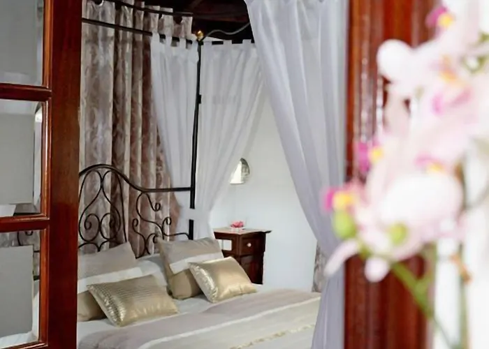 Hotel Hotel Drago San Antonio 3*