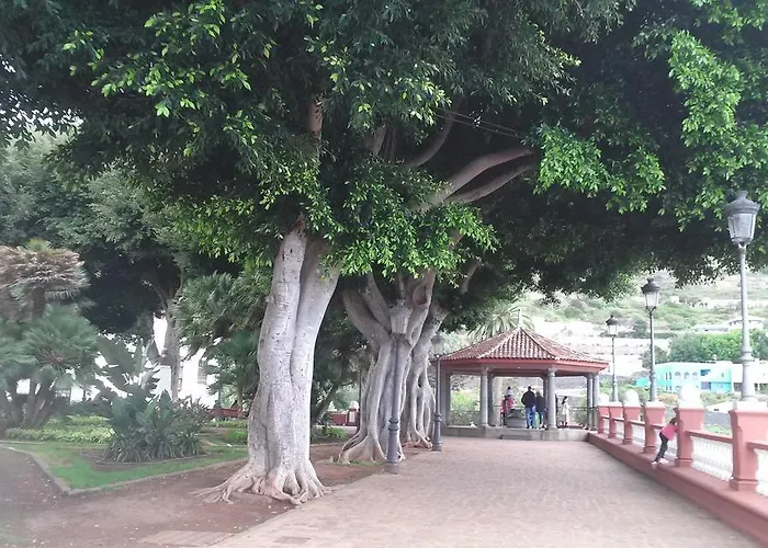 Drago San Antonio 3* イコー・デ・ロス・ビノス