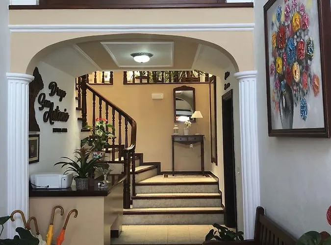 Drago San Antonio イコー・デ・ロス・ビノス