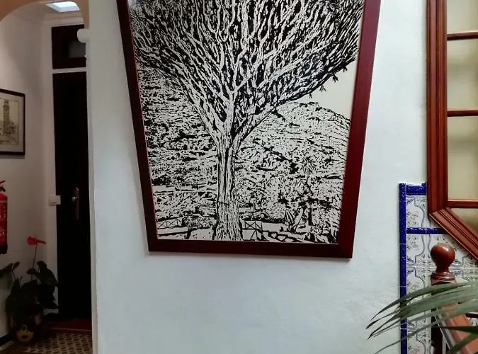 Hotel Drago San Antonio 3*