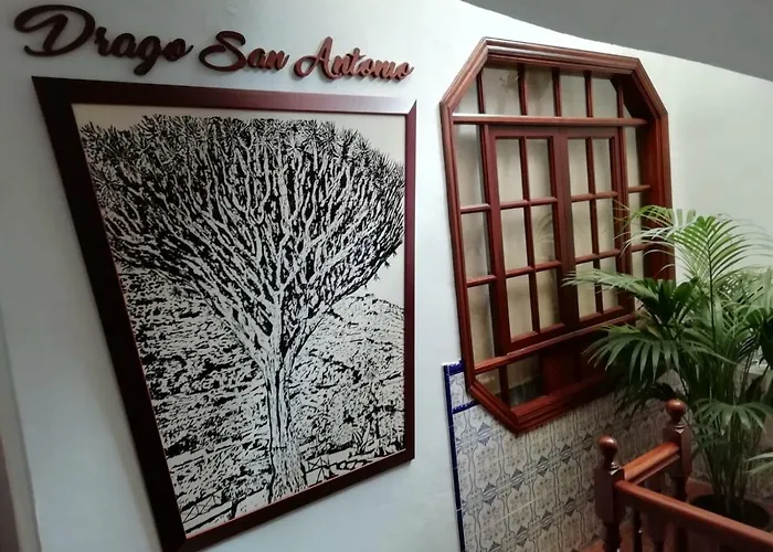 Hotel Drago San Antonio