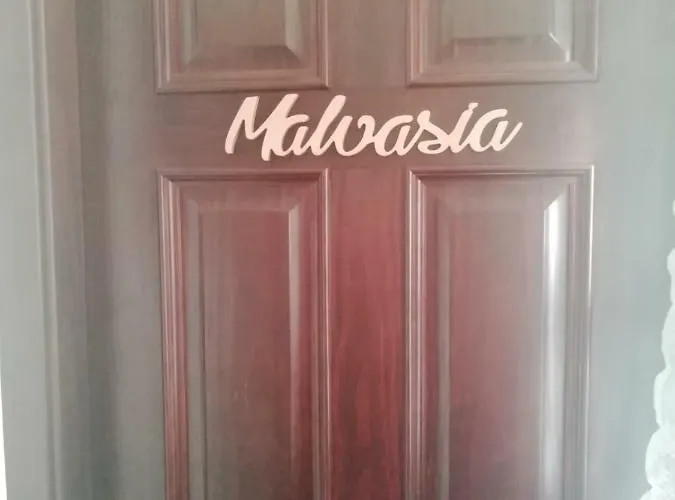 Hotel Drago San Antonio Hotel